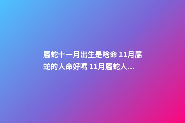 屬蛇十一月出生是啥命 11月屬蛇的人命好嗎 11月屬蛇人的命運如何-第1張-觀點-玄機派